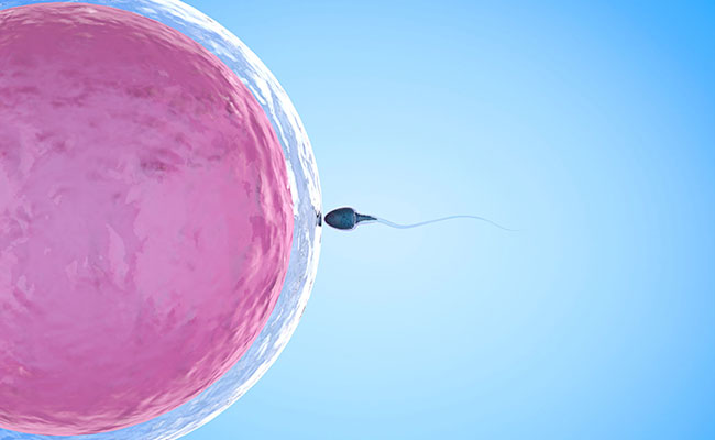 IVF---Γονιμοποίηση-Ωαρίου